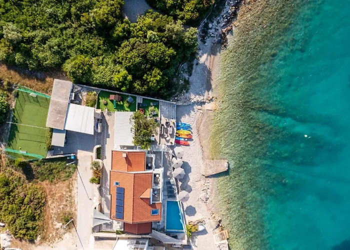 Dalmatina * 斯瑞瑟尔