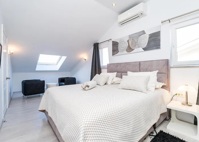 Dalmatina * 斯瑞瑟尔